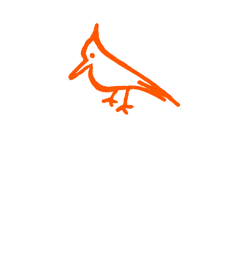 Nicko Nogués © 2020